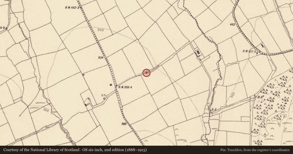 Ordnance Survey six-inch map, 2nd edition (1888–1915) covering the location of Kiln - lime, Pollardstown, County Cork, with a pin at the register's coordinates