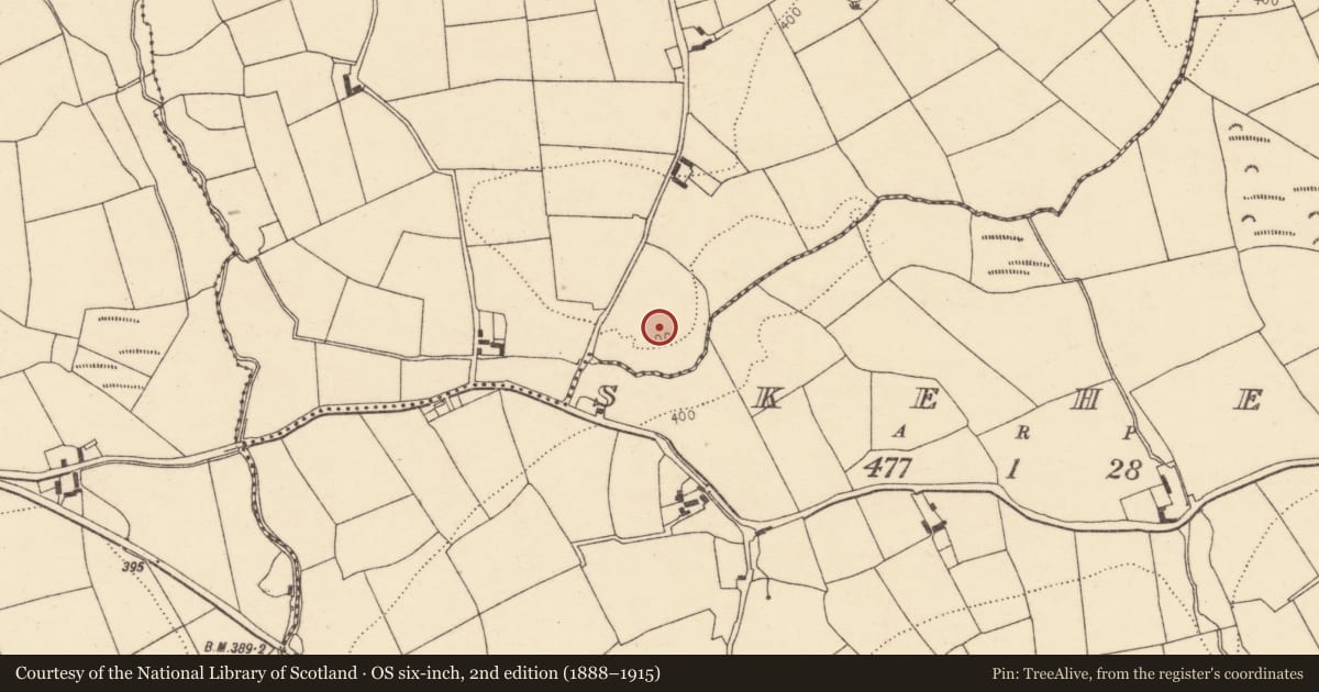 Ordnance Survey six-inch map, 2nd edition (1888–1915) covering the location of Moated site, Ballynabrock, County Cork, with a pin at the register's coordinates