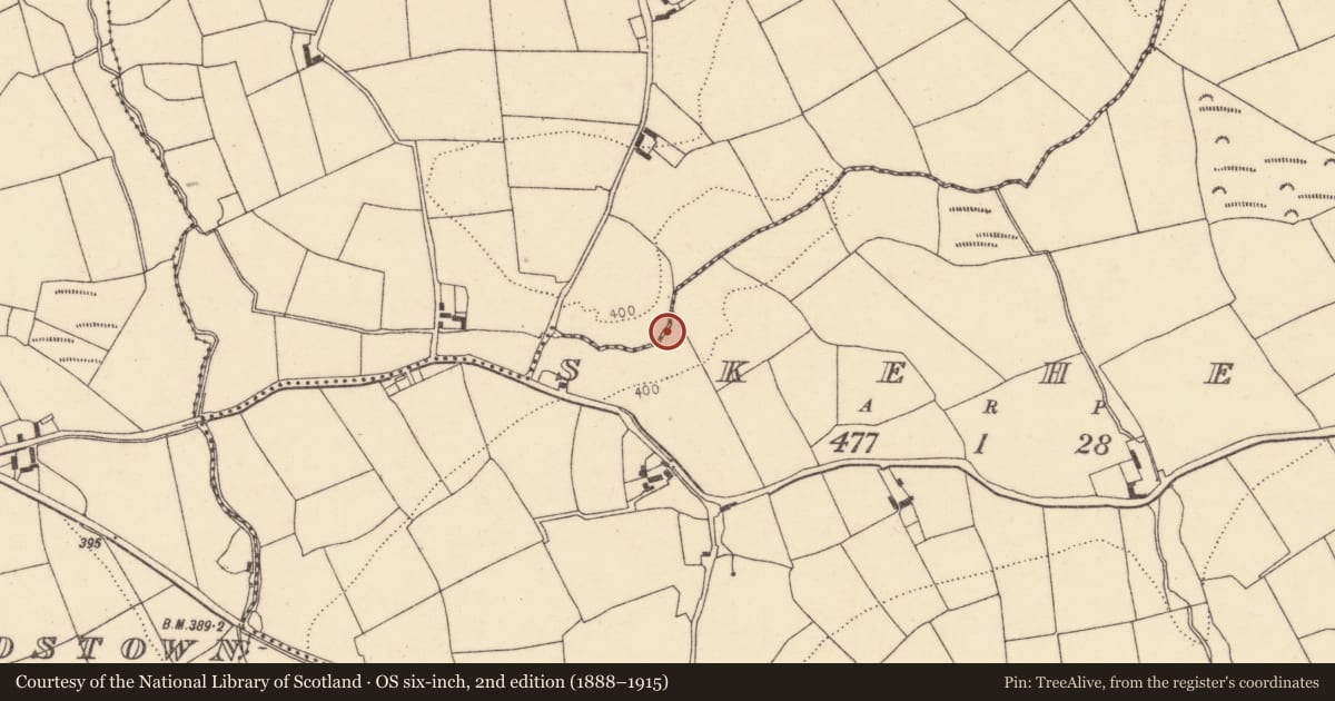 Ordnance Survey six-inch map, 2nd edition (1888–1915) covering the location of Fulacht fia, Skeheen, County Cork, with a pin at the register's coordinates
