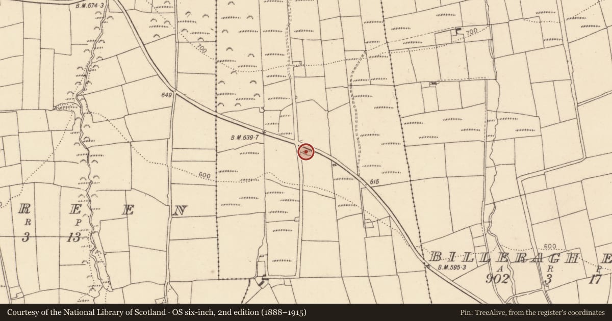 Ordnance Survey six-inch map, 2nd edition (1888–1915) covering the location of Ringfort - rath, Billeragh West, County Cork, with a pin at the register's coordinates