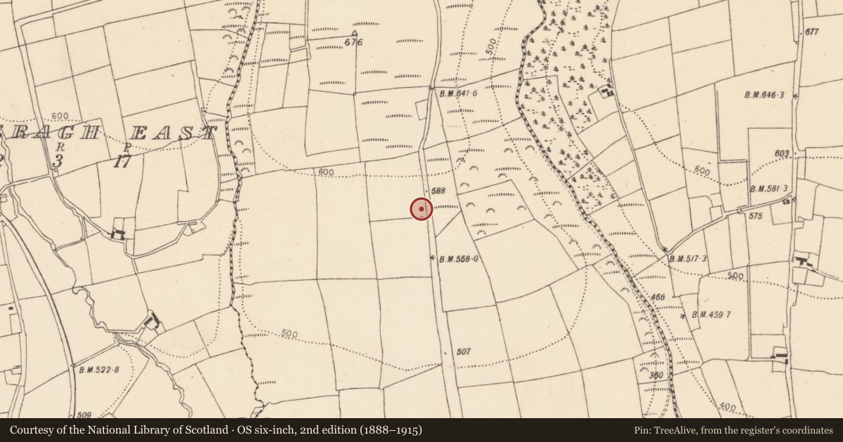 Ordnance Survey six-inch map, 2nd edition (1888–1915) covering the location of Ringfort - rath, Lyre, County Cork, with a pin at the register's coordinates