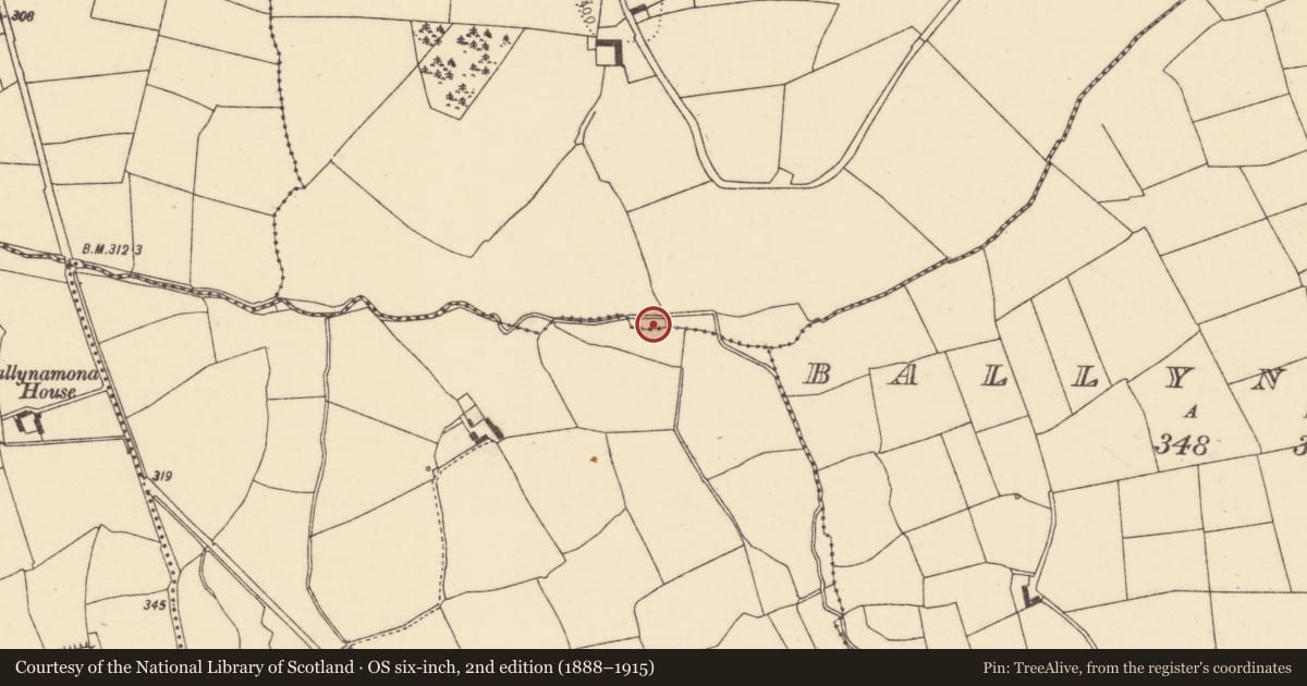 Ordnance Survey six-inch map, 2nd edition (1888–1915) covering the location of Mill - unclassified, Kildrum, County Cork, with a pin at the register's coordinates