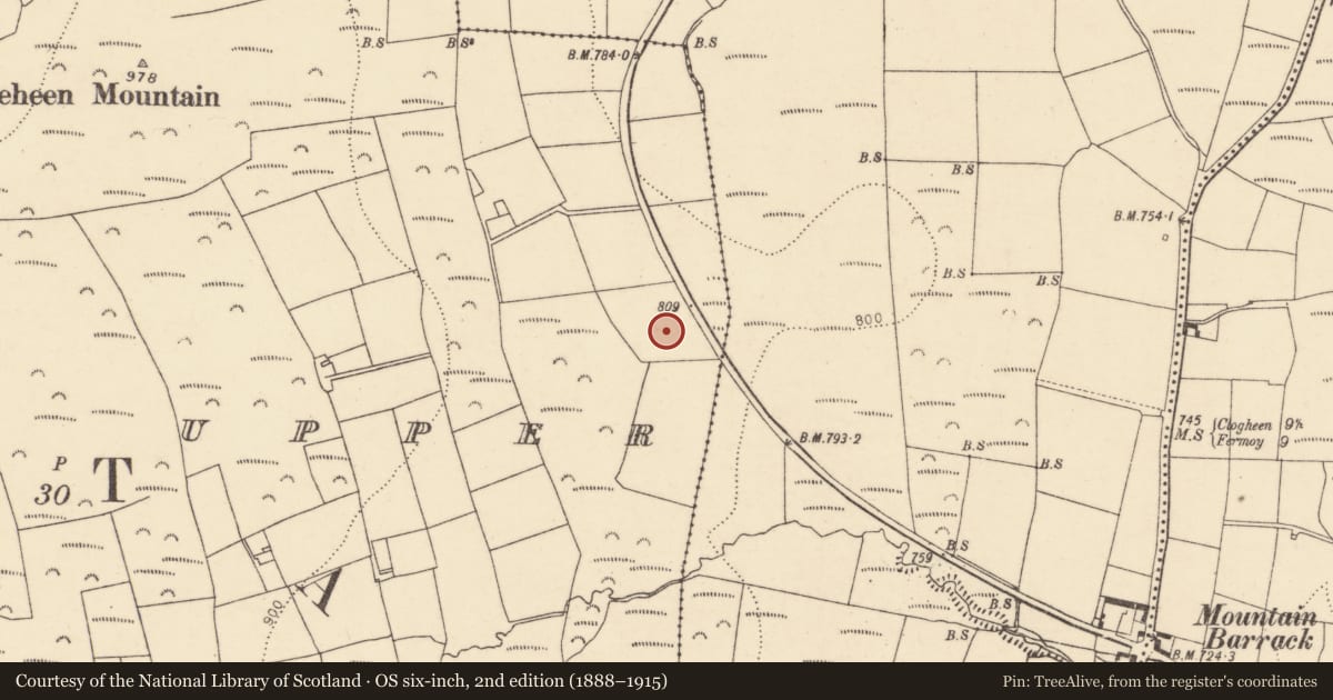 Ordnance Survey six-inch map, 2nd edition (1888–1915) covering the location of Souterrain, Skeheen Upper, County Cork, with a pin at the register's coordinates