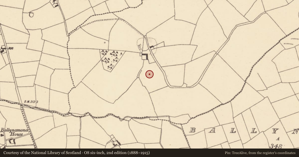 Ordnance Survey six-inch map, 2nd edition (1888–1915) covering the location of Ecclesiastical enclosure, Kildrum, County Cork, with a pin at the register's coordinates