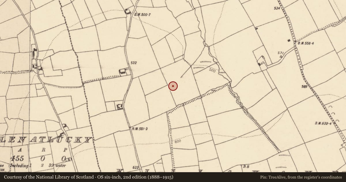 Ordnance Survey six-inch map, 2nd edition (1888–1915) covering the location of Fulacht fia, Killakane, County Cork, with a pin at the register's coordinates