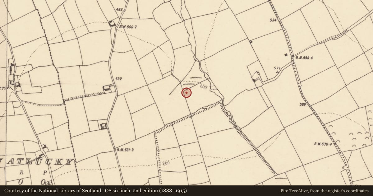 Ordnance Survey six-inch map, 2nd edition (1888–1915) covering the location of Burnt mound, Killakane, County Cork, with a pin at the register's coordinates