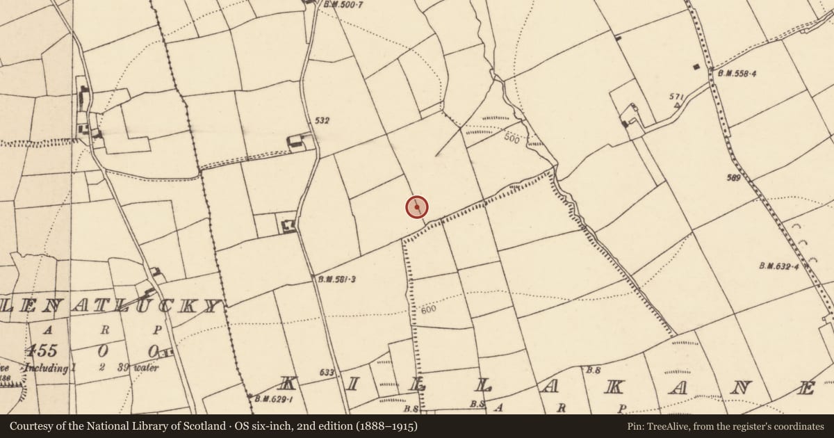 Ordnance Survey six-inch map, 2nd edition (1888–1915) covering the location of Burnt mound, Killakane, County Cork, with a pin at the register's coordinates