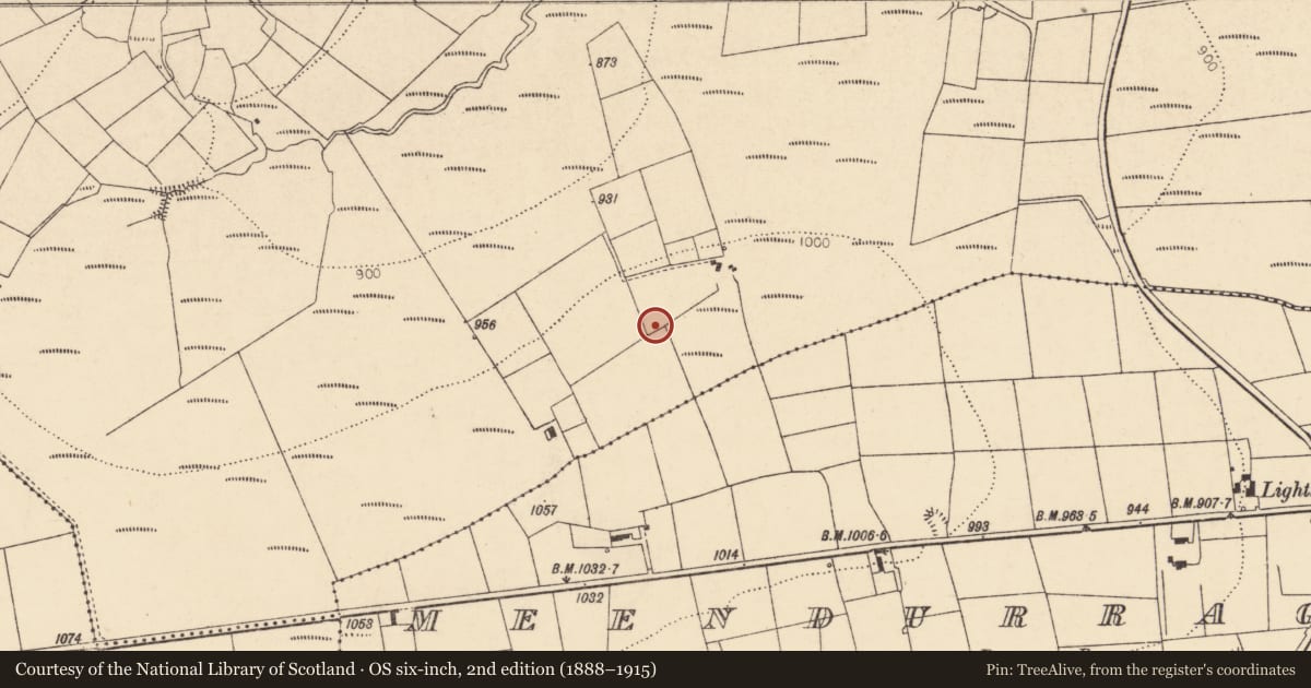 Ordnance Survey six-inch map, 2nd edition (1888–1915) covering the location of Ringfort - rath, Glentanefinnane, County Cork, with a pin at the register's coordinates