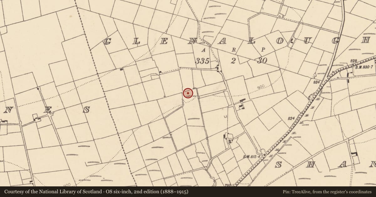 Ordnance Survey six-inch map, 2nd edition (1888–1915) covering the location of Fulacht fia, Glenalougha, County Cork, with a pin at the register's coordinates