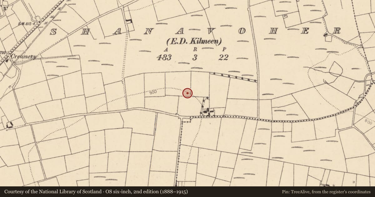 Ordnance Survey six-inch map, 2nd edition (1888–1915) covering the location of Barrow - ring-barrow, Shanavoher (Duhallow By., Kilmeen Par.), County Cork, with a pin at the register's coordinates