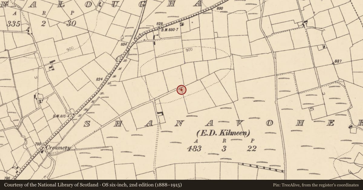 Ordnance Survey six-inch map, 2nd edition (1888–1915) covering the location of Kiln - lime, Shanavoher (Duhallow By., Kilmeen Par.), County Cork, with a pin at the register's coordinates
