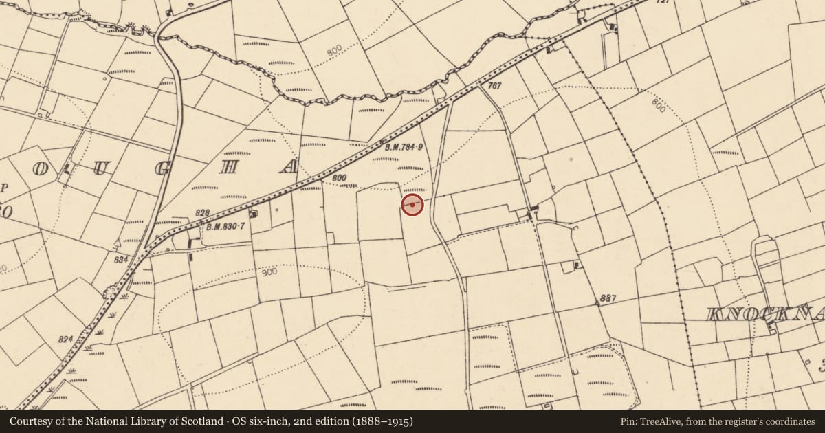 Ordnance Survey six-inch map, 2nd edition (1888–1915) covering the location of Fulacht fia, Shanavoher (Duhallow By., Kilmeen Par.), County Cork, with a pin at the register's coordinates
