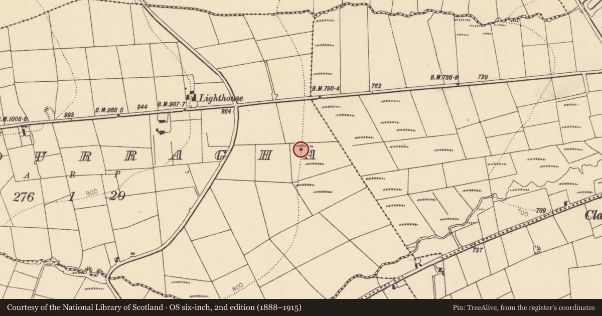 Ordnance Survey six-inch map, 2nd edition (1888–1915) covering the location of Fulacht fia, Meendurragha, County Cork, with a pin at the register's coordinates