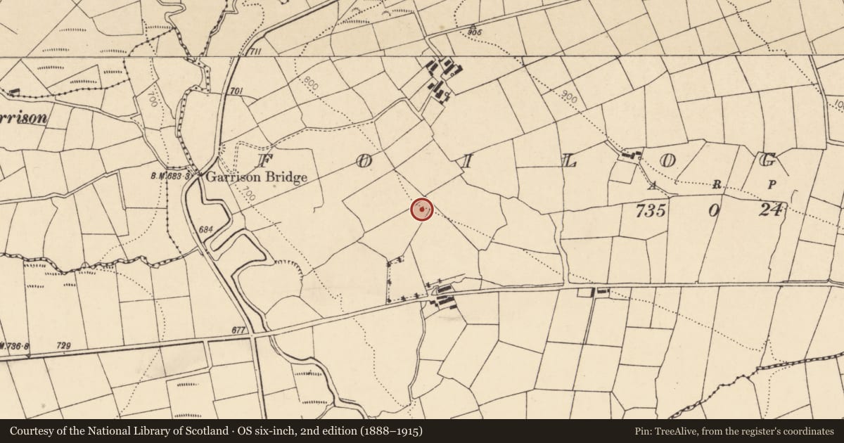 Ordnance Survey six-inch map, 2nd edition (1888–1915) covering the location of Standing stone, Foilogohig, County Cork, with a pin at the register's coordinates