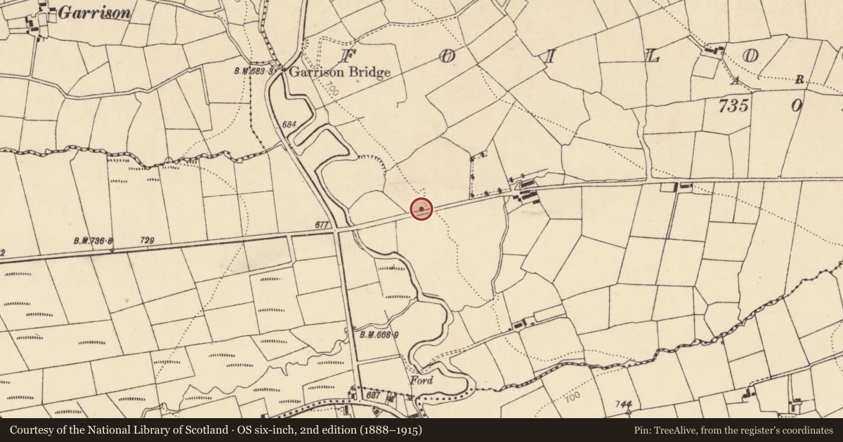 Ordnance Survey six-inch map, 2nd edition (1888–1915) covering the location of Kiln - lime, Foilogohig, County Cork, with a pin at the register's coordinates