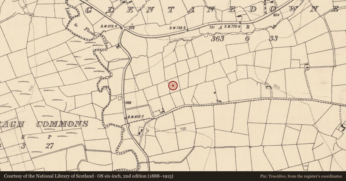 Ordnance Survey six-inch map, 2nd edition (1888–1915) covering the location of Anomalous stone group, Glentanedowney, County Cork, with a pin at the register's coordinates