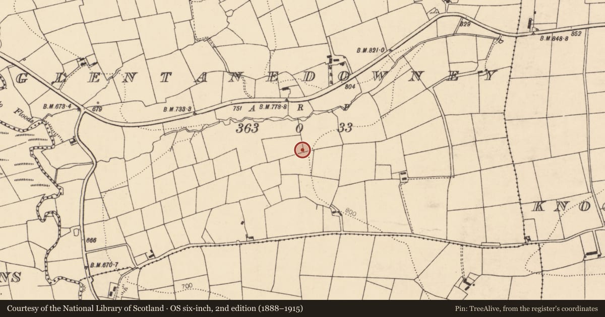 Ordnance Survey six-inch map, 2nd edition (1888–1915) covering the location of Barrow - ring-barrow, Glentanedowney, County Cork, with a pin at the register's coordinates