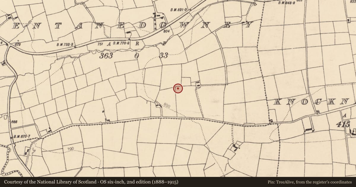 Ordnance Survey six-inch map, 2nd edition (1888–1915) covering the location of Barrow - ring-barrow, Glentanedowney, County Cork, with a pin at the register's coordinates