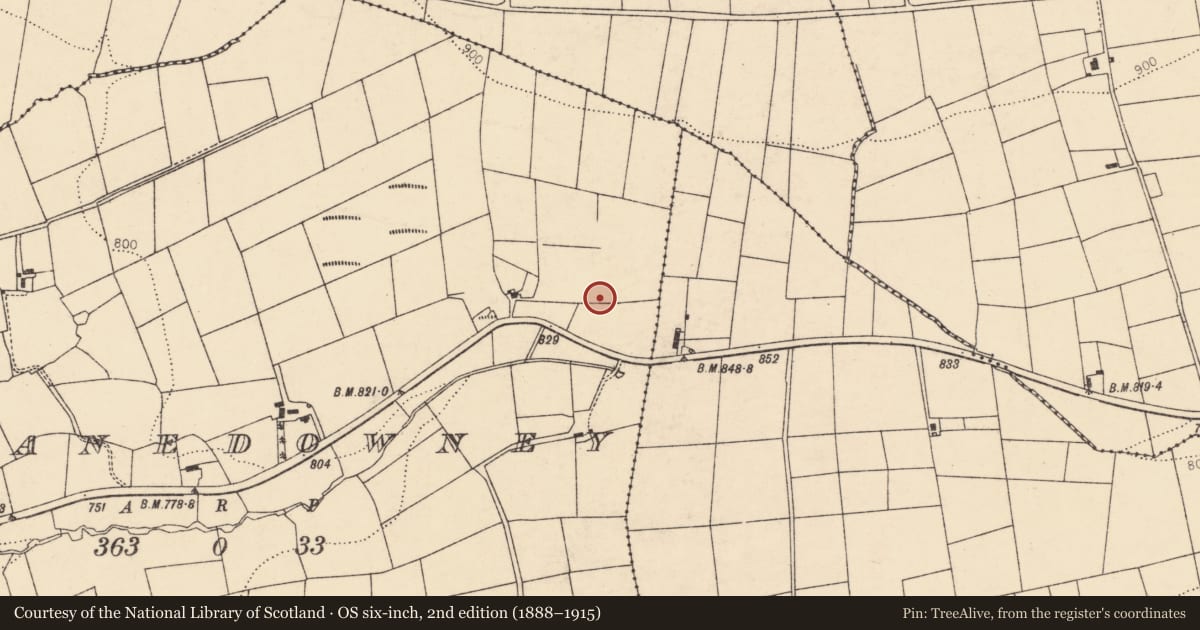 Ordnance Survey six-inch map, 2nd edition (1888–1915) covering the location of Fulacht fia, Glentanedowney, County Cork, with a pin at the register's coordinates