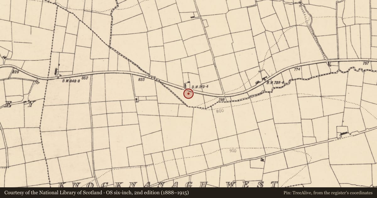Ordnance Survey six-inch map, 2nd edition (1888–1915) covering the location of Fulacht fia, Clashykinleen West, County Cork, with a pin at the register's coordinates