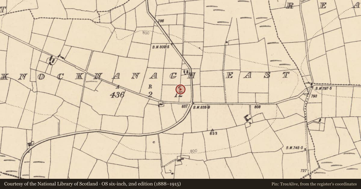 Ordnance Survey six-inch map, 2nd edition (1888–1915) covering the location of Stone row, Knocknanagh East, County Cork, with a pin at the register's coordinates