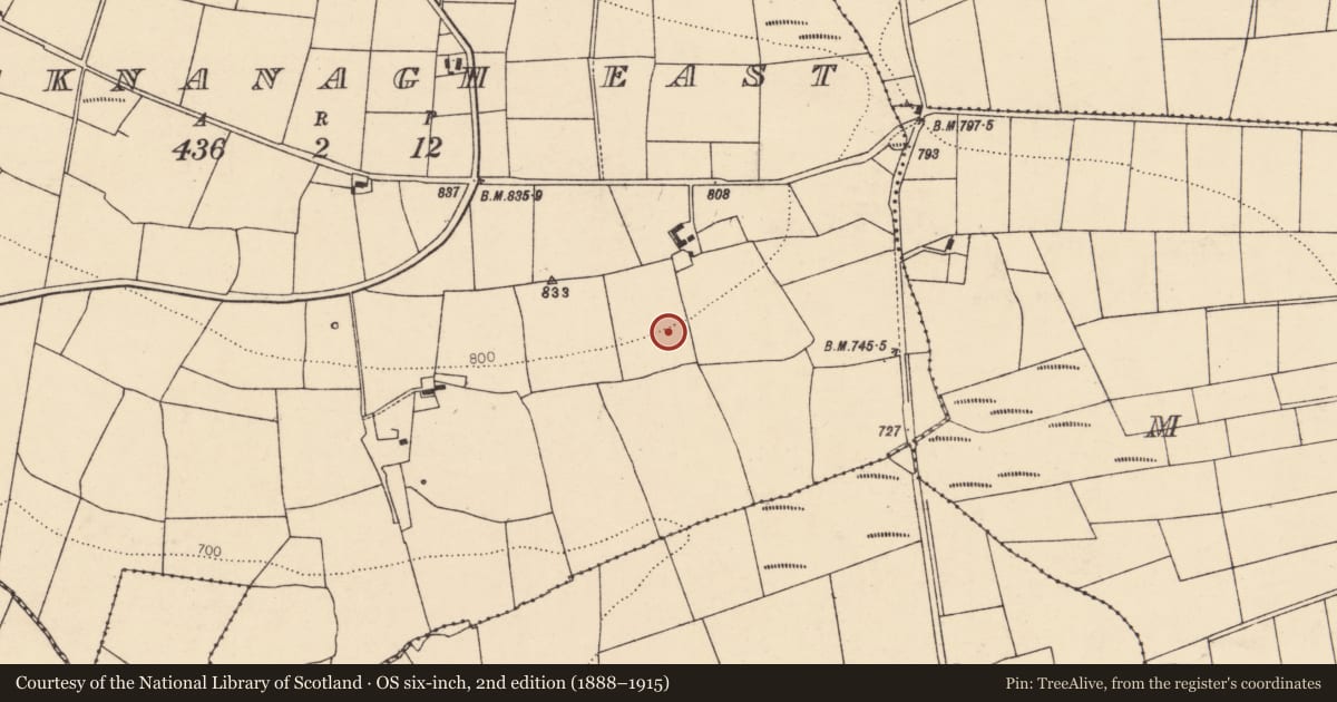 Ordnance Survey six-inch map, 2nd edition (1888–1915) covering the location of Barrow - ring-barrow, Knocknanagh East, County Cork, with a pin at the register's coordinates