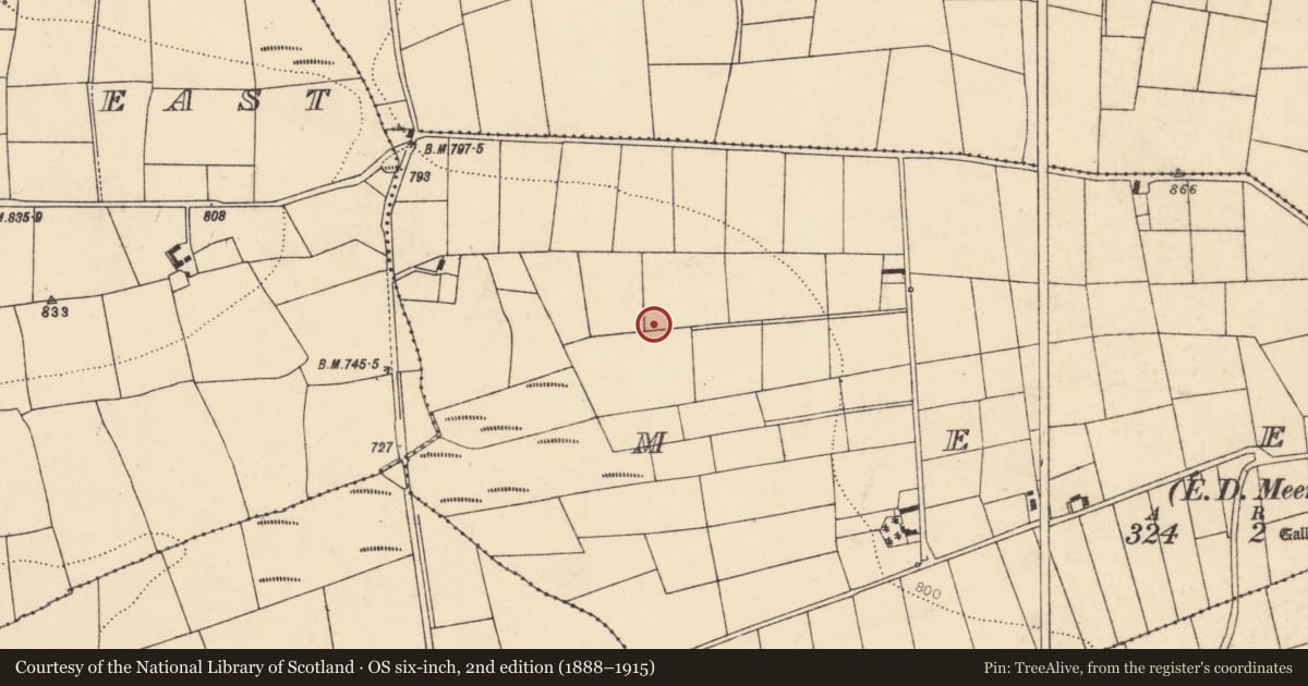 Ordnance Survey six-inch map, 2nd edition (1888–1915) covering the location of Fulacht fia, Meens (Duhallow By., Kilmeen Par.), County Cork, with a pin at the register's coordinates