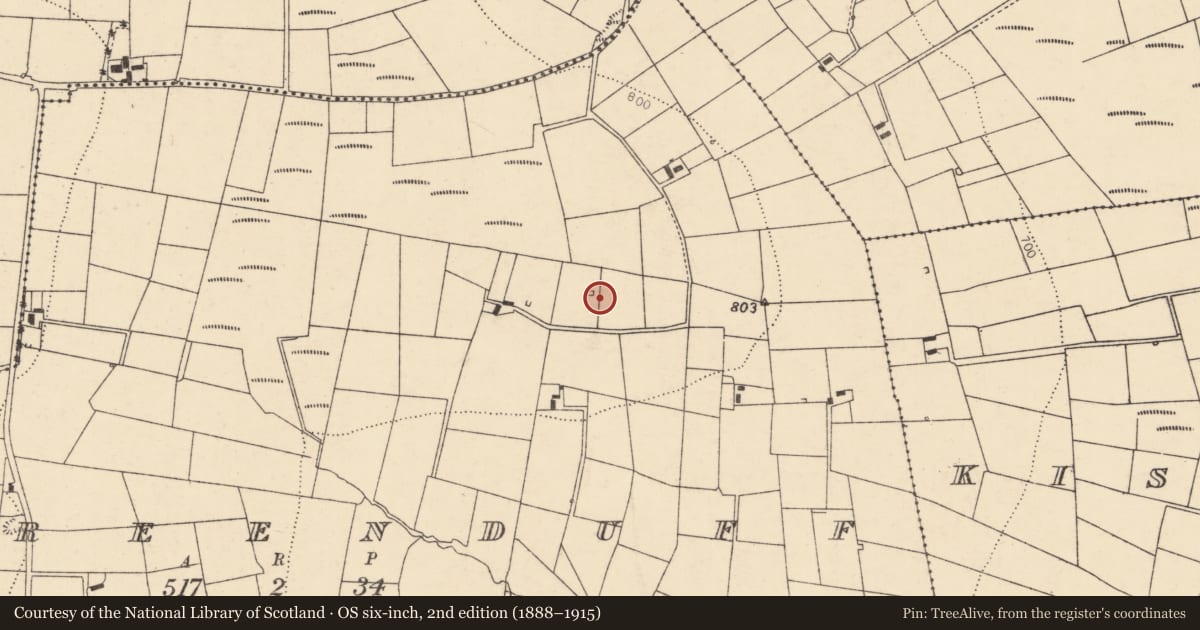 Ordnance Survey six-inch map, 2nd edition (1888–1915) covering the location of Kiln - lime, Tooreenduff, County Cork, with a pin at the register's coordinates