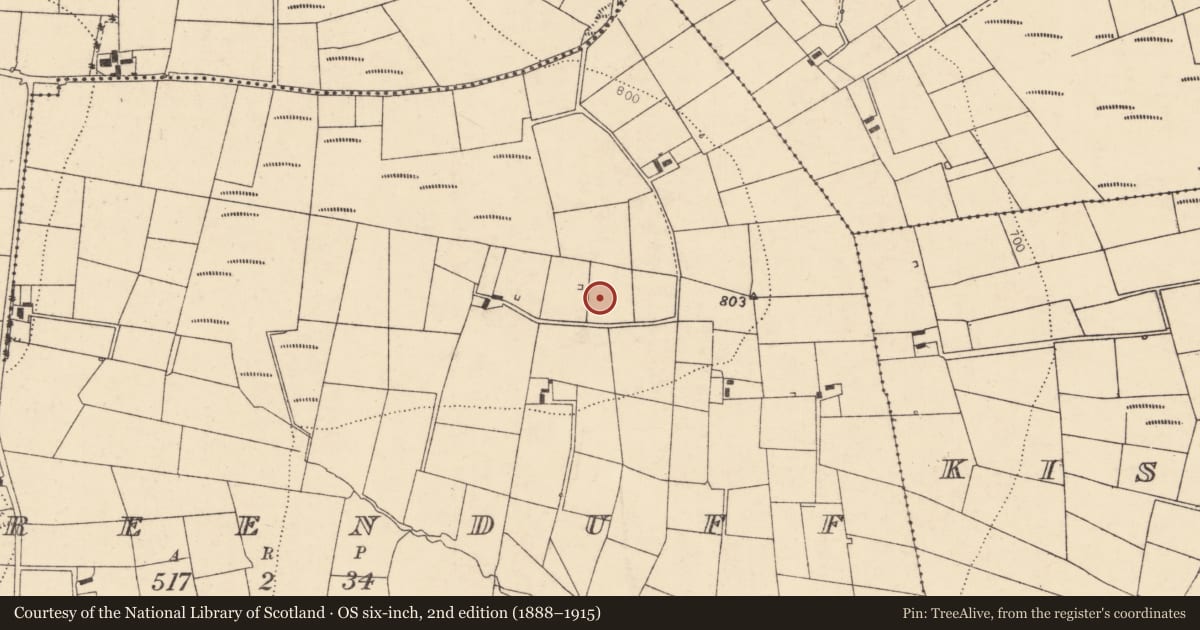 Ordnance Survey six-inch map, 2nd edition (1888–1915) covering the location of Fulacht fia, Tooreenduff, County Cork, with a pin at the register's coordinates