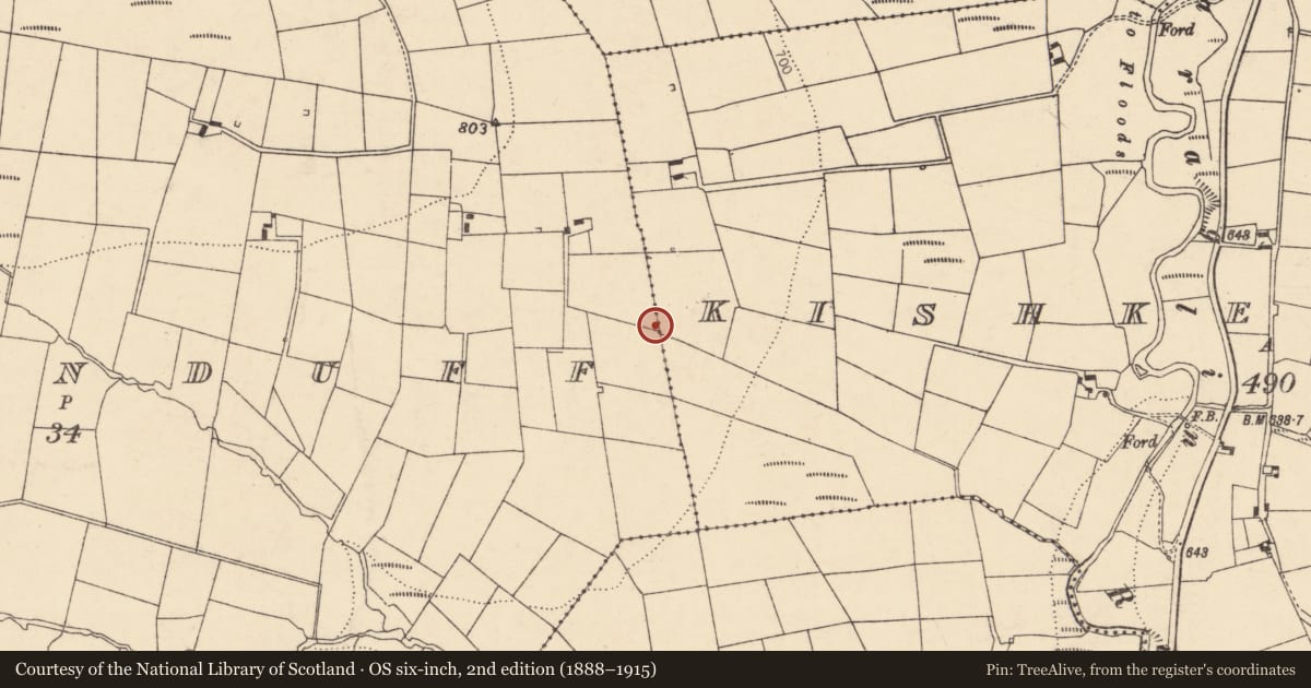 Ordnance Survey six-inch map, 2nd edition (1888–1915) covering the location of Fulacht fia, Tooreenduff, County Cork, with a pin at the register's coordinates