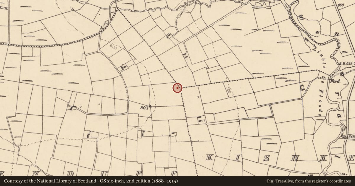 Ordnance Survey six-inch map, 2nd edition (1888–1915) covering the location of Barrow - ring-barrow, Tooreenduff, County Cork, with a pin at the register's coordinates