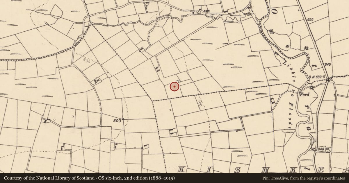 Ordnance Survey six-inch map, 2nd edition (1888–1915) covering the location of Fulacht fia, Knocknanagh Commons, County Cork, with a pin at the register's coordinates