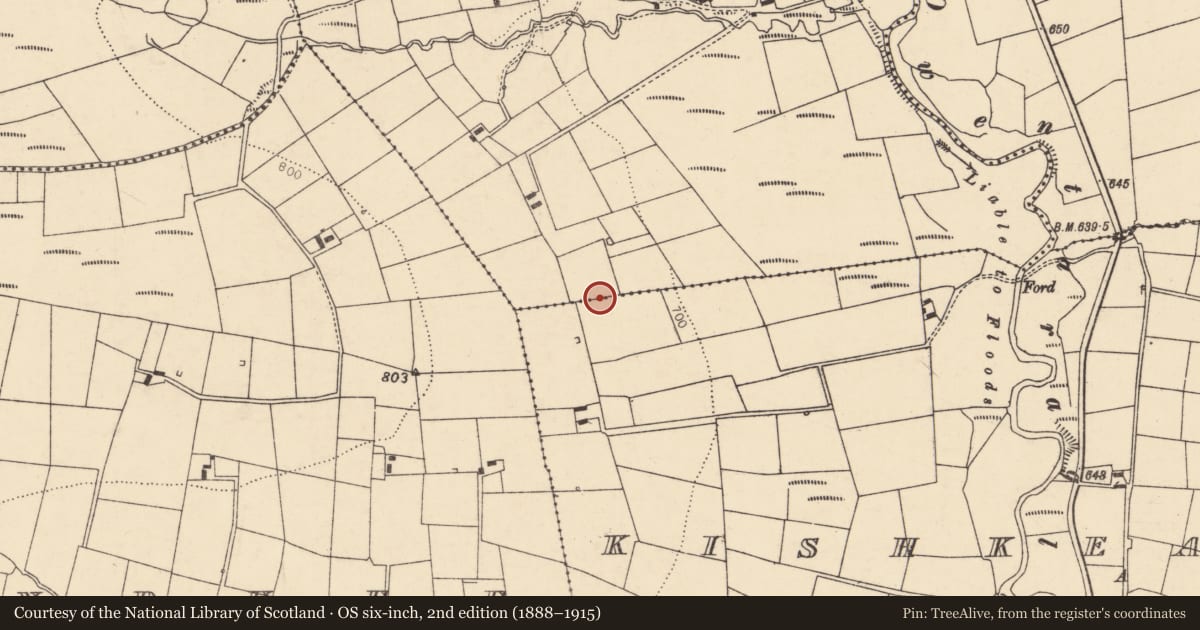 Ordnance Survey six-inch map, 2nd edition (1888–1915) covering the location of Fulacht fia, Knocknanagh Commons, County Cork, with a pin at the register's coordinates