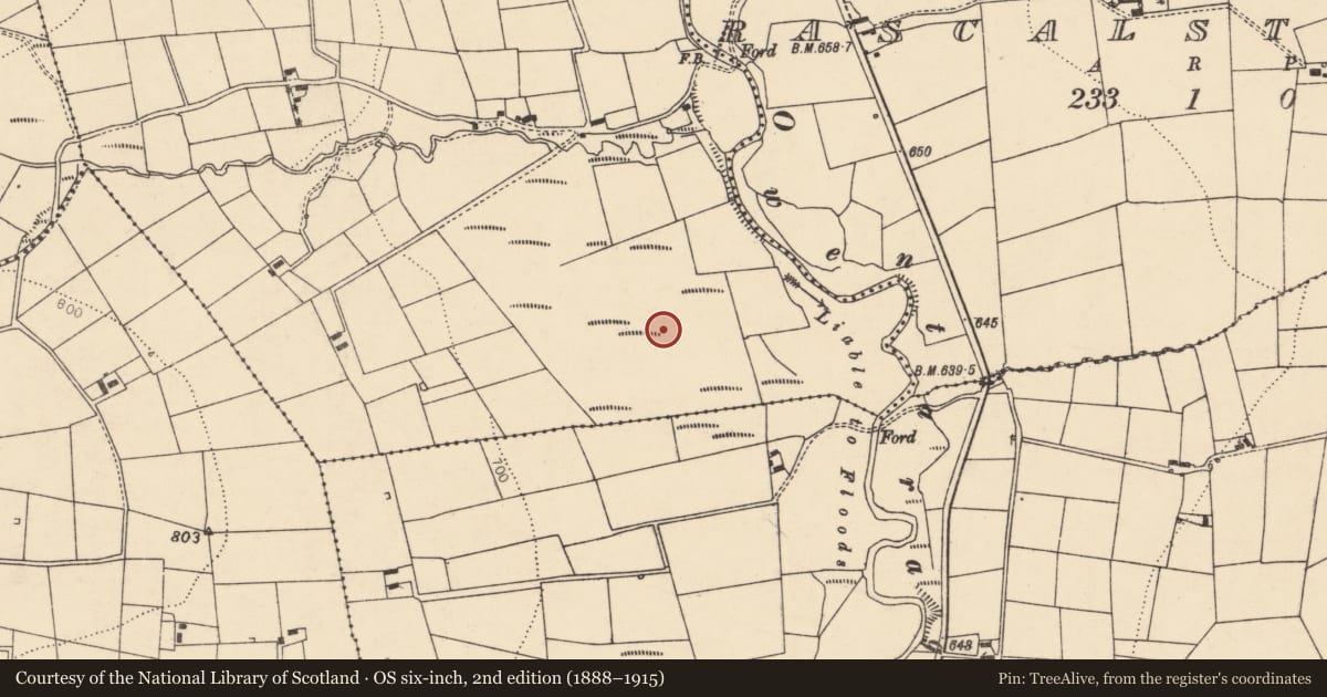 Ordnance Survey six-inch map, 2nd edition (1888–1915) covering the location of Fulacht fia, Knocknanagh Commons, County Cork, with a pin at the register's coordinates