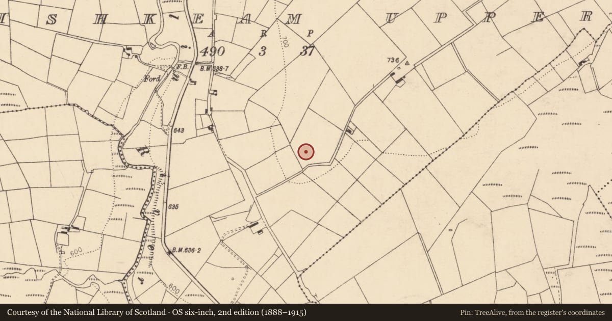Ordnance Survey six-inch map, 2nd edition (1888–1915) covering the location of Barrow - ring-barrow, Kishkeam Upper, County Cork, with a pin at the register's coordinates