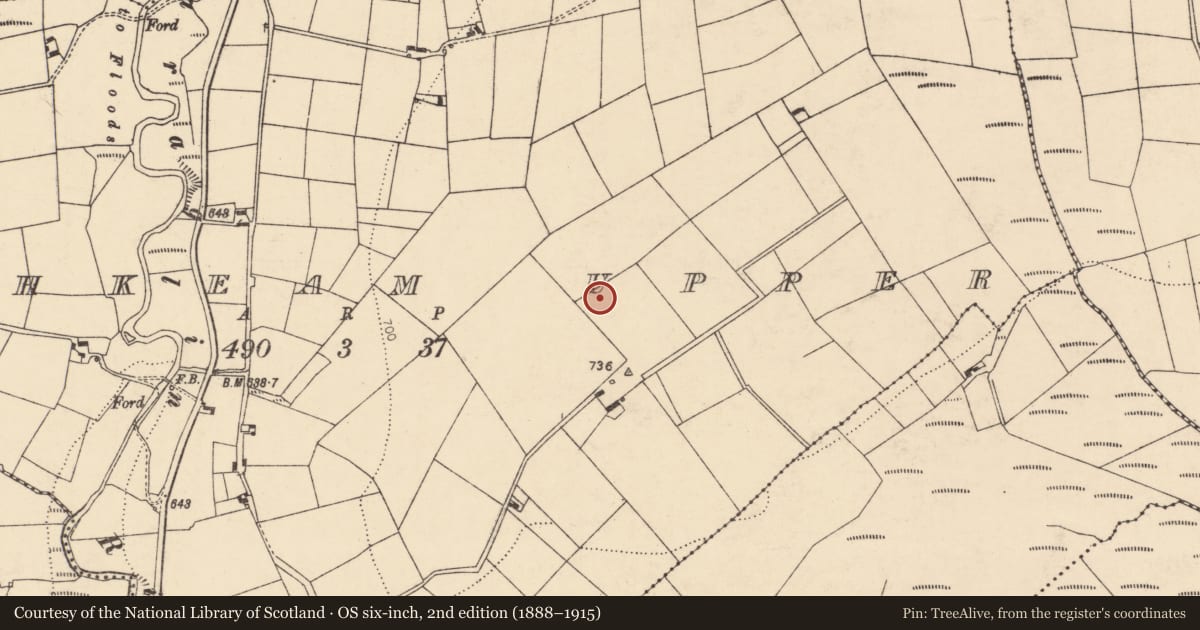 Ordnance Survey six-inch map, 2nd edition (1888–1915) covering the location of Barrow - ring-barrow, Kishkeam Upper, County Cork, with a pin at the register's coordinates