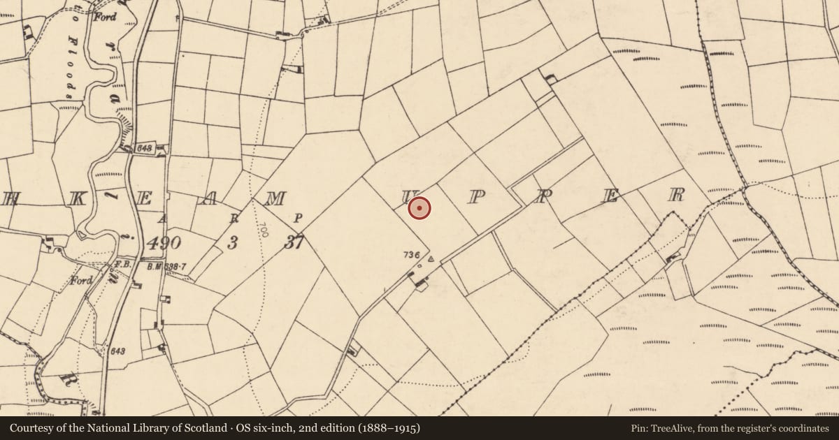 Ordnance Survey six-inch map, 2nd edition (1888–1915) covering the location of Barrow - ring-barrow, Kishkeam Upper, County Cork, with a pin at the register's coordinates