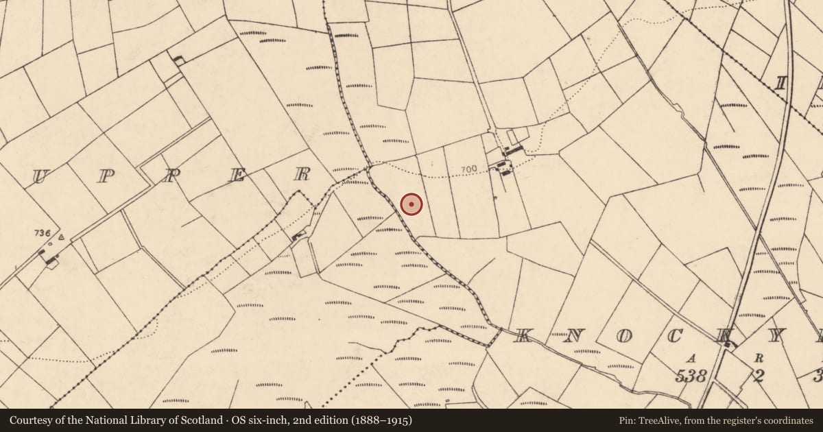 Ordnance Survey six-inch map, 2nd edition (1888–1915) covering the location of Fulacht fia, Knockyrourke, County Cork, with a pin at the register's coordinates