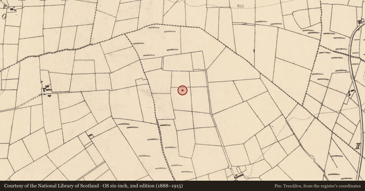 Ordnance Survey six-inch map, 2nd edition (1888–1915) covering the location of Fulacht fia, Knockyrourke, County Cork, with a pin at the register's coordinates