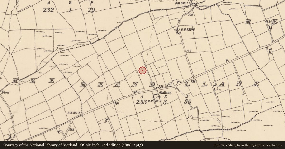 Ordnance Survey six-inch map, 2nd edition (1888–1915) covering the location of Fulacht fia, Reandallane, County Cork, with a pin at the register's coordinates