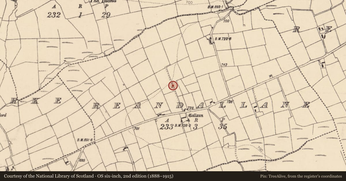 Ordnance Survey six-inch map, 2nd edition (1888–1915) covering the location of Fulacht fia, Reandallane, County Cork, with a pin at the register's coordinates