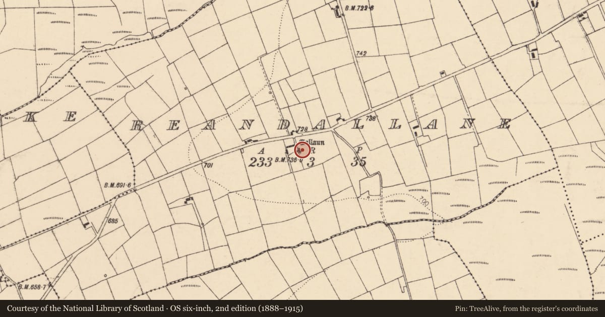 Ordnance Survey six-inch map, 2nd edition (1888–1915) covering the location of Standing stone, Reandallane, County Cork, with a pin at the register's coordinates