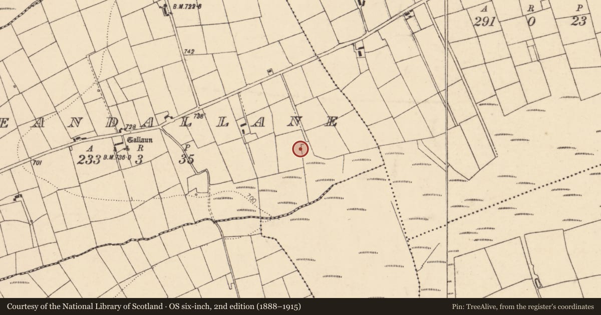 Ordnance Survey six-inch map, 2nd edition (1888–1915) covering the location of Fulacht fia, Reandallane, County Cork, with a pin at the register's coordinates