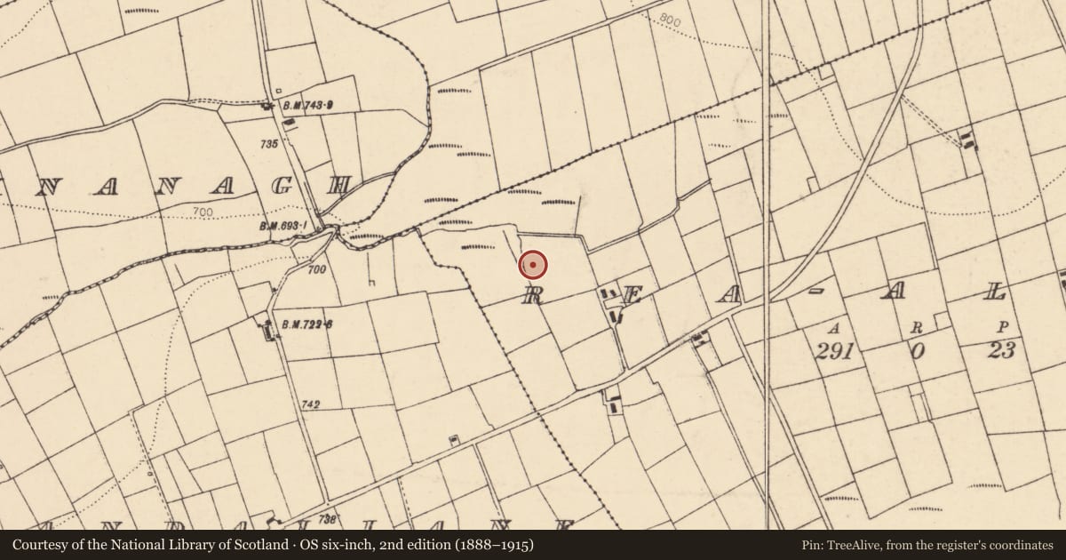 Ordnance Survey six-inch map, 2nd edition (1888–1915) covering the location of Fulacht fia, Rea-Allen, County Cork, with a pin at the register's coordinates