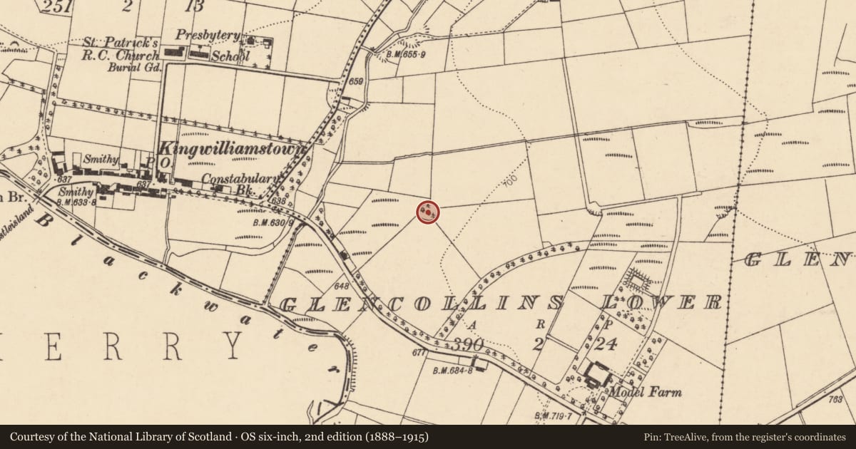 Ordnance Survey six-inch map, 2nd edition (1888–1915) covering the location of Enclosure, Glencollins Lower, County Cork, with a pin at the register's coordinates