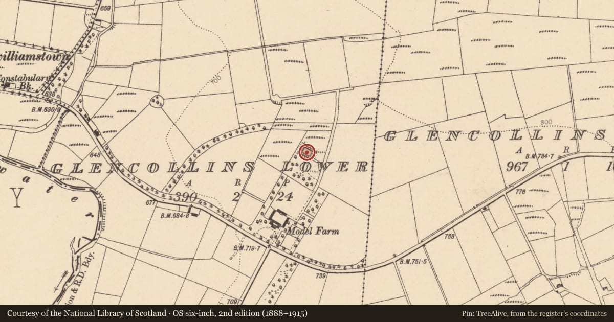 Ordnance Survey six-inch map, 2nd edition (1888–1915) covering the location of Fish-pond, Glencollins Lower, County Cork, with a pin at the register's coordinates