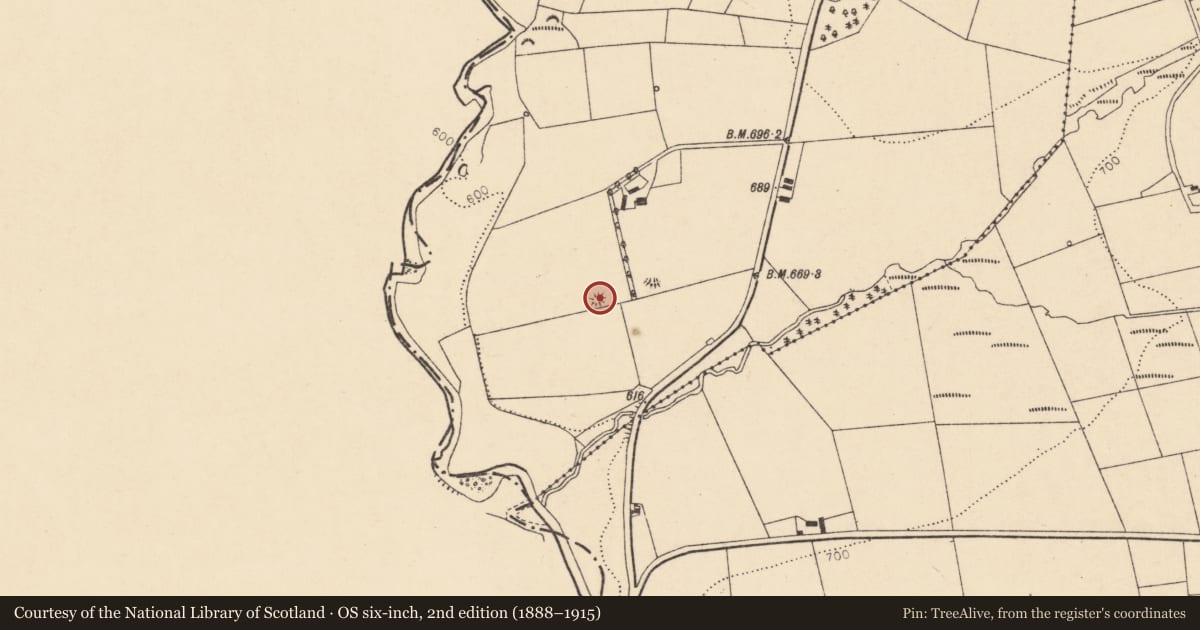 Ordnance Survey six-inch map, 2nd edition (1888–1915) covering the location of Quarry, Glencollins Lower, County Cork, with a pin at the register's coordinates