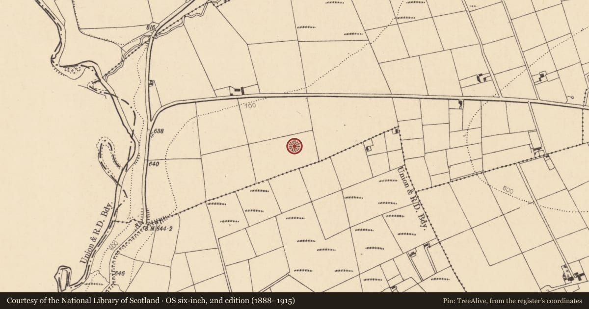 Ordnance Survey six-inch map, 2nd edition (1888–1915) covering the location of Ringfort - rath, Glencollins Upper, County Cork, with a pin at the register's coordinates