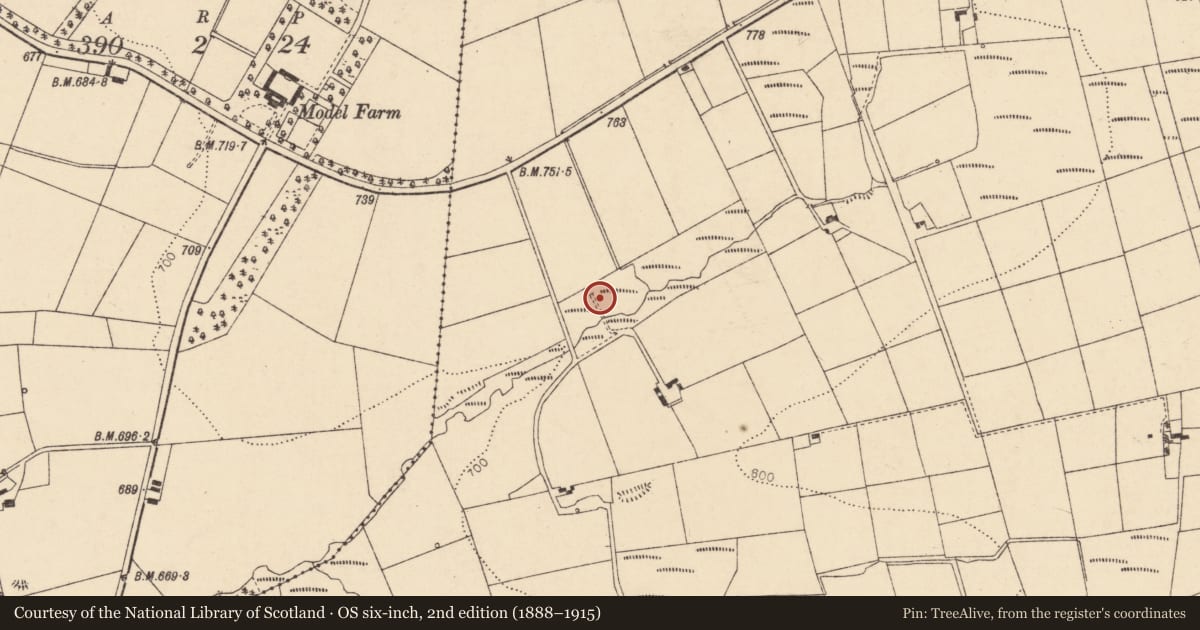 Ordnance Survey six-inch map, 2nd edition (1888–1915) covering the location of Kiln - lime, Glencollins Upper, County Cork, with a pin at the register's coordinates