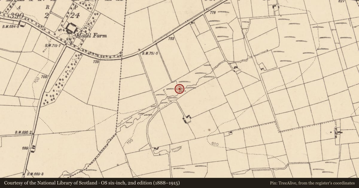 Ordnance Survey six-inch map, 2nd edition (1888–1915) covering the location of Fulacht fia, Glencollins Upper, County Cork, with a pin at the register's coordinates